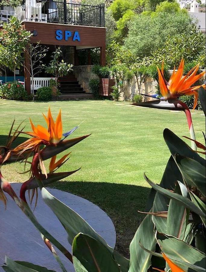 Liona Hotel & Spa Gündoğan Zewnętrze zdjęcie